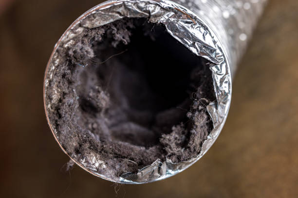 Best HVAC Maintenance and Cleaning  in Woodbury, NY